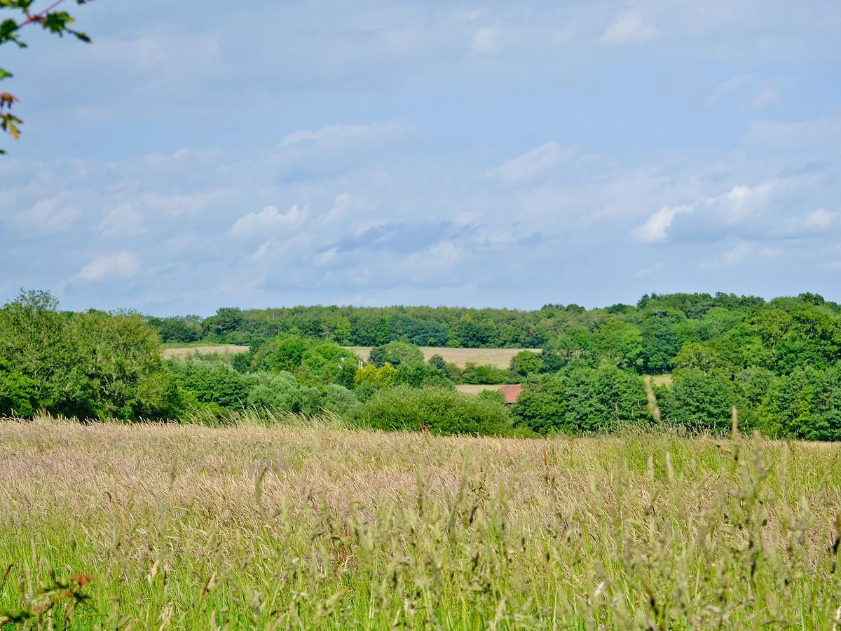 Tiger Villa Horsted Keynes Екстериор снимка